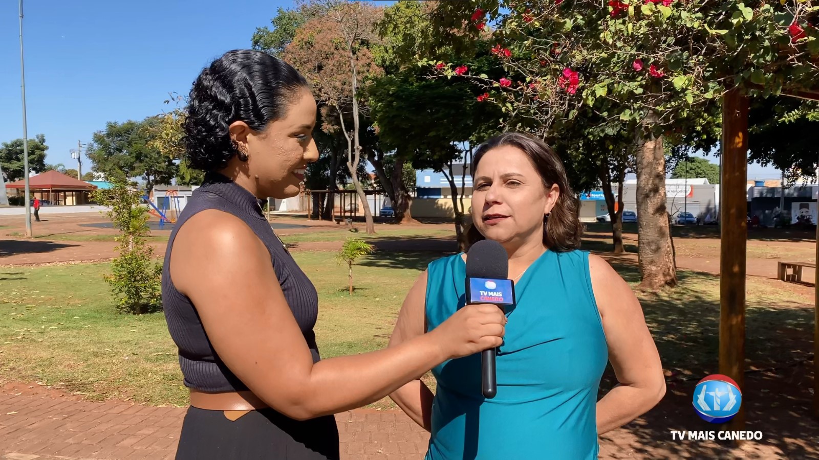 Diversão Sem Idade: Colônia de Férias Une Gerações com Atividades para Crianças e Idosos