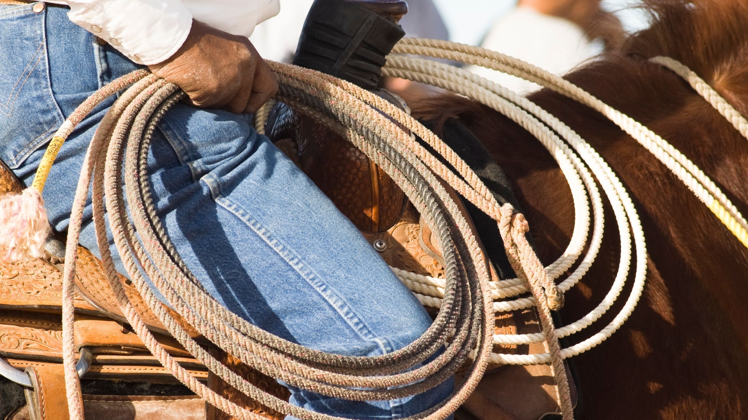 Caldazinha celebra Rodeio Show com grandes nomes sertanejos e ação solidária. Entretenimento e doação se unem