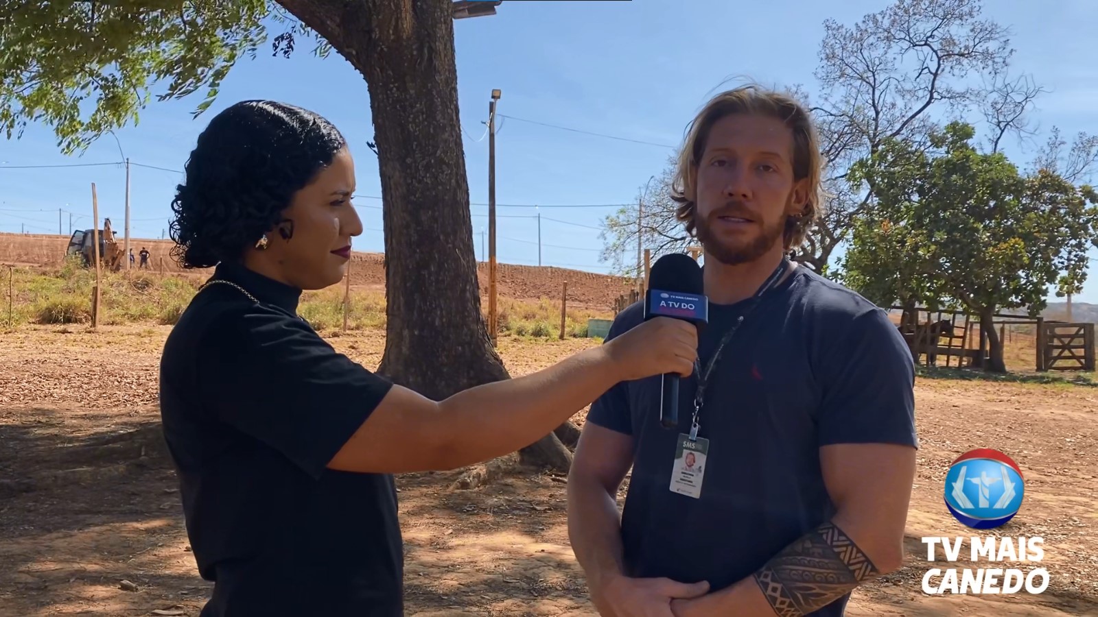 Fique atento aos sintomas da esporotricose em animais e humanos. Veja como se prevenir.