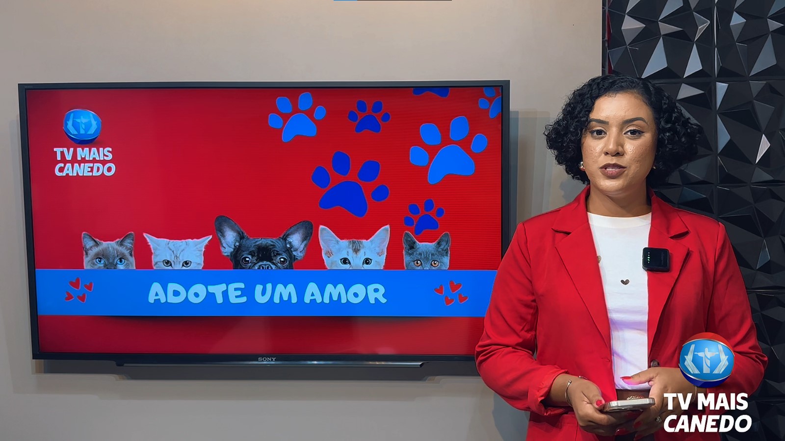 Quadro Mais Amor – Adote um amiguinho