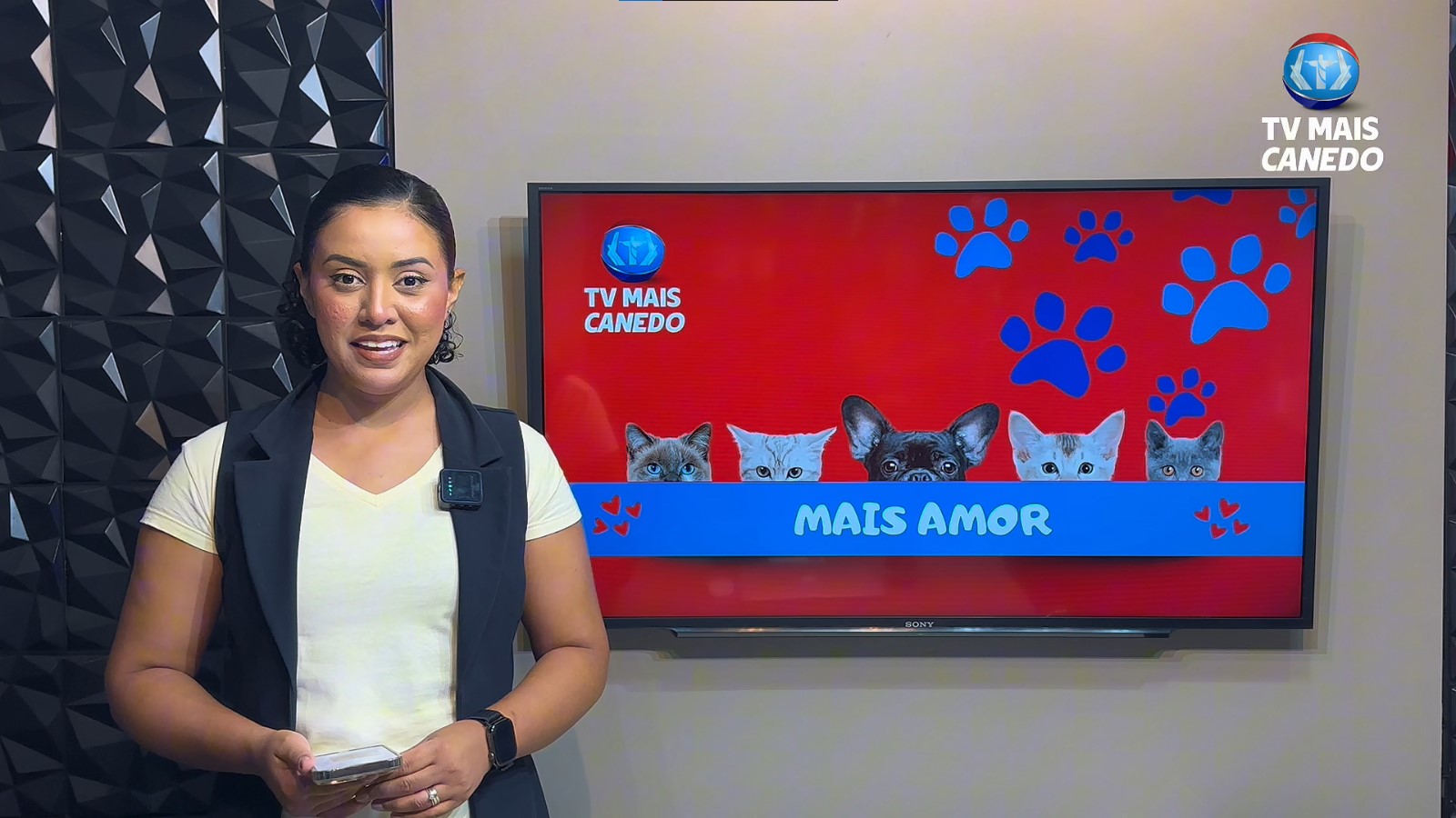 🐶❤💙Quadro Mais Amor – Adote um amiguinho