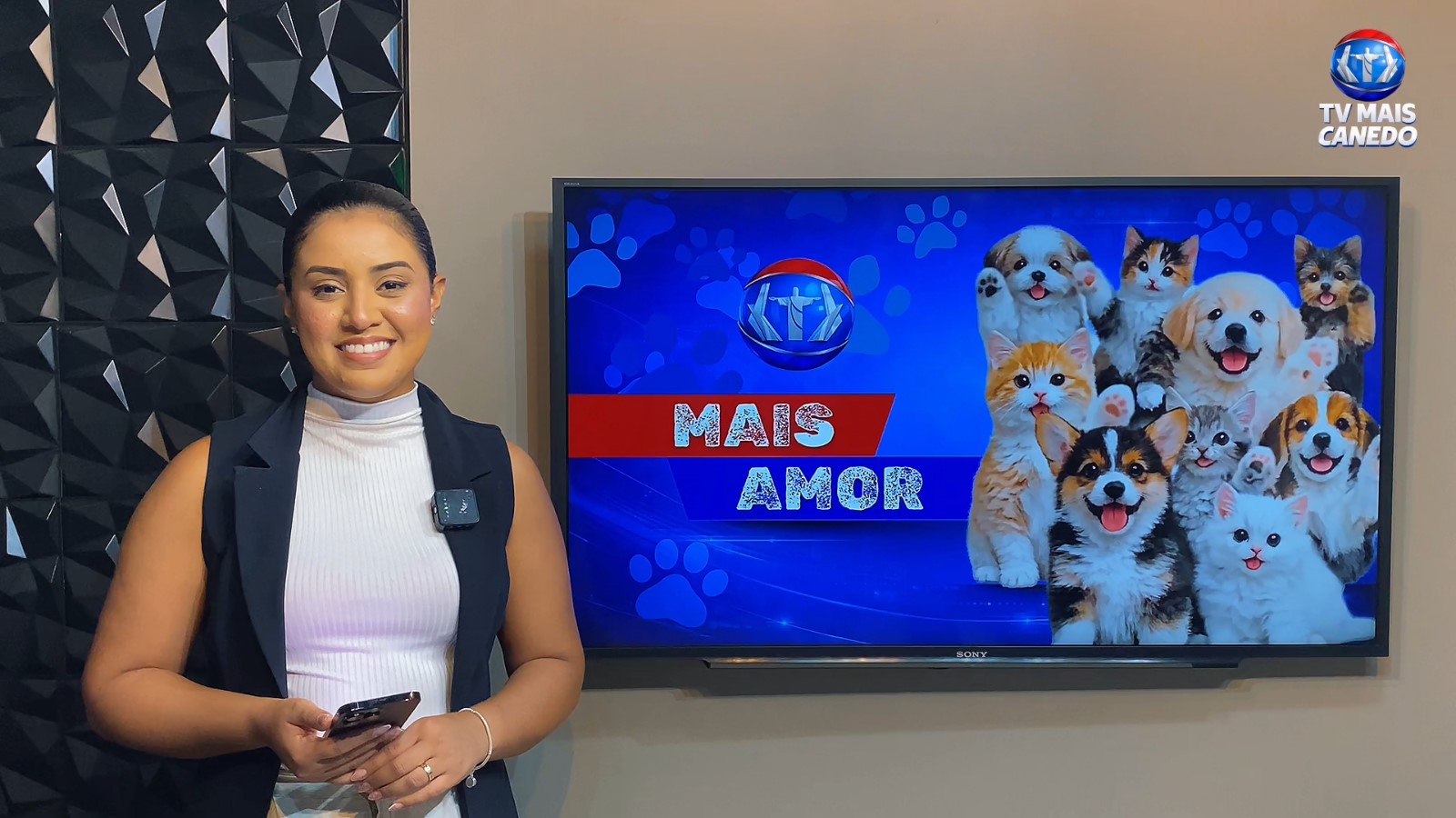 Quadro Mais Amor – Adote um amiguinho!
