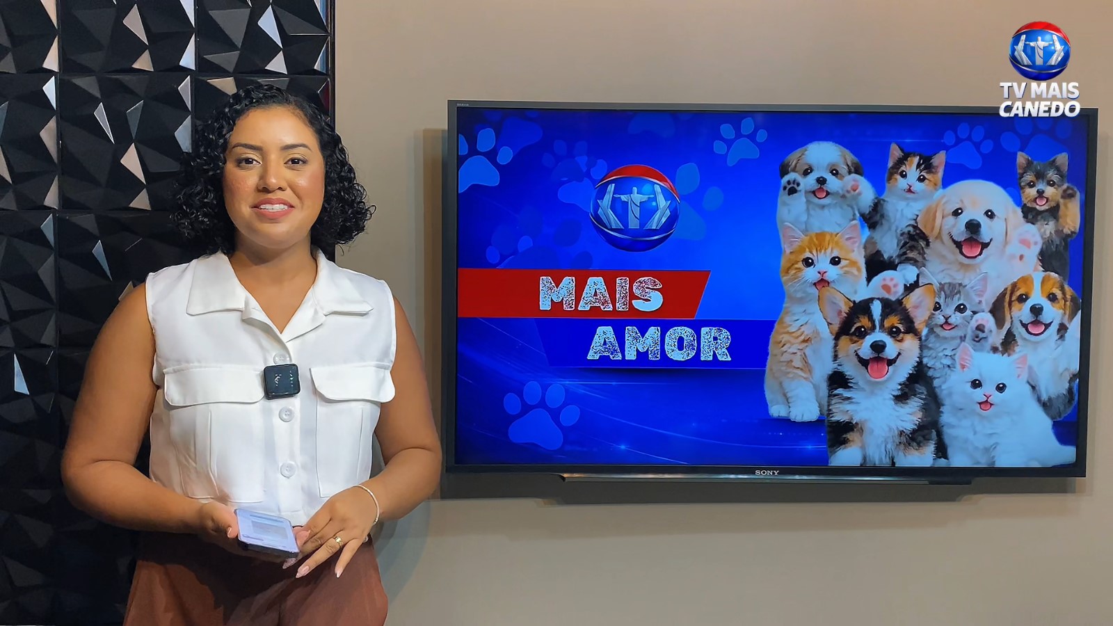 Quadro Mais Amor: adoção responsável