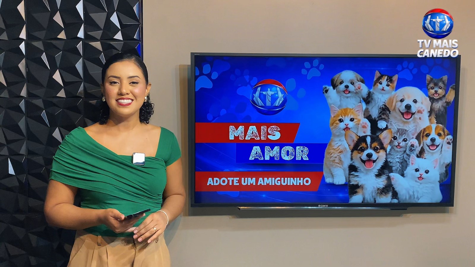 Quadro Mais Amor incentiva a adoção responsável de animais em Senador Canedo