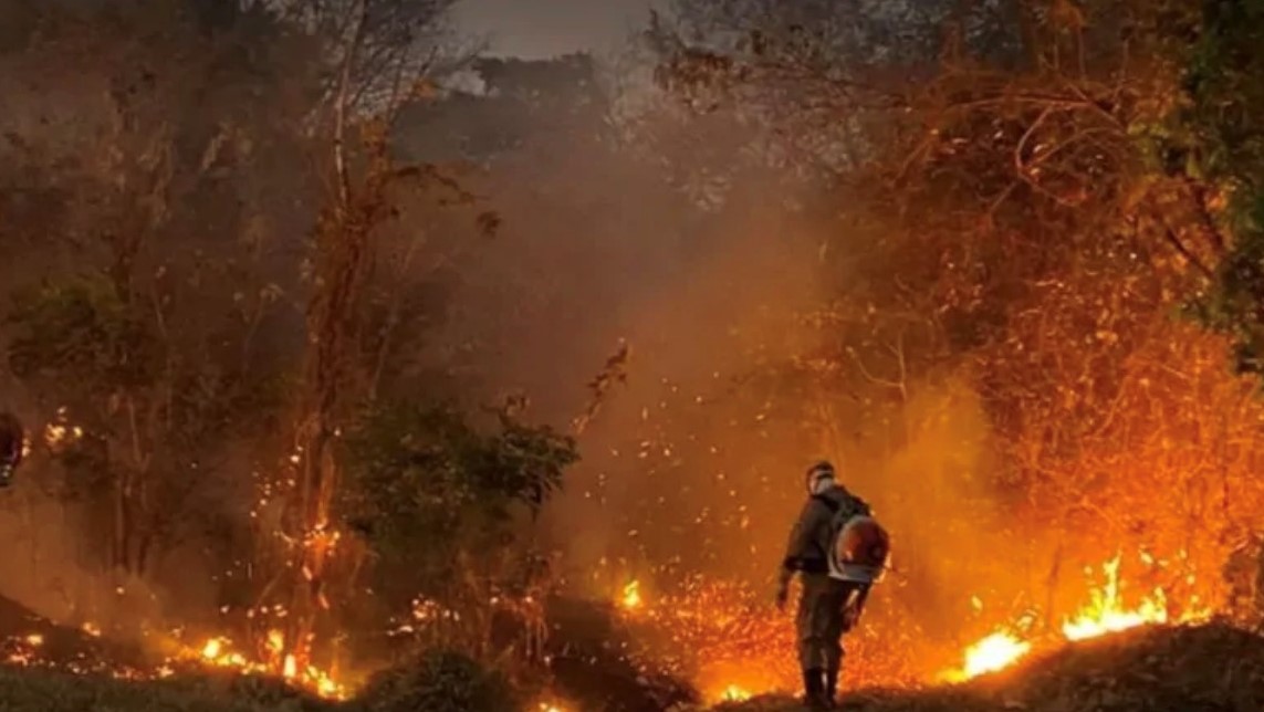 Queimadas já devastaram 5,6 mil km² em Goiás em 2025, área oito vezes maior que Goiânia