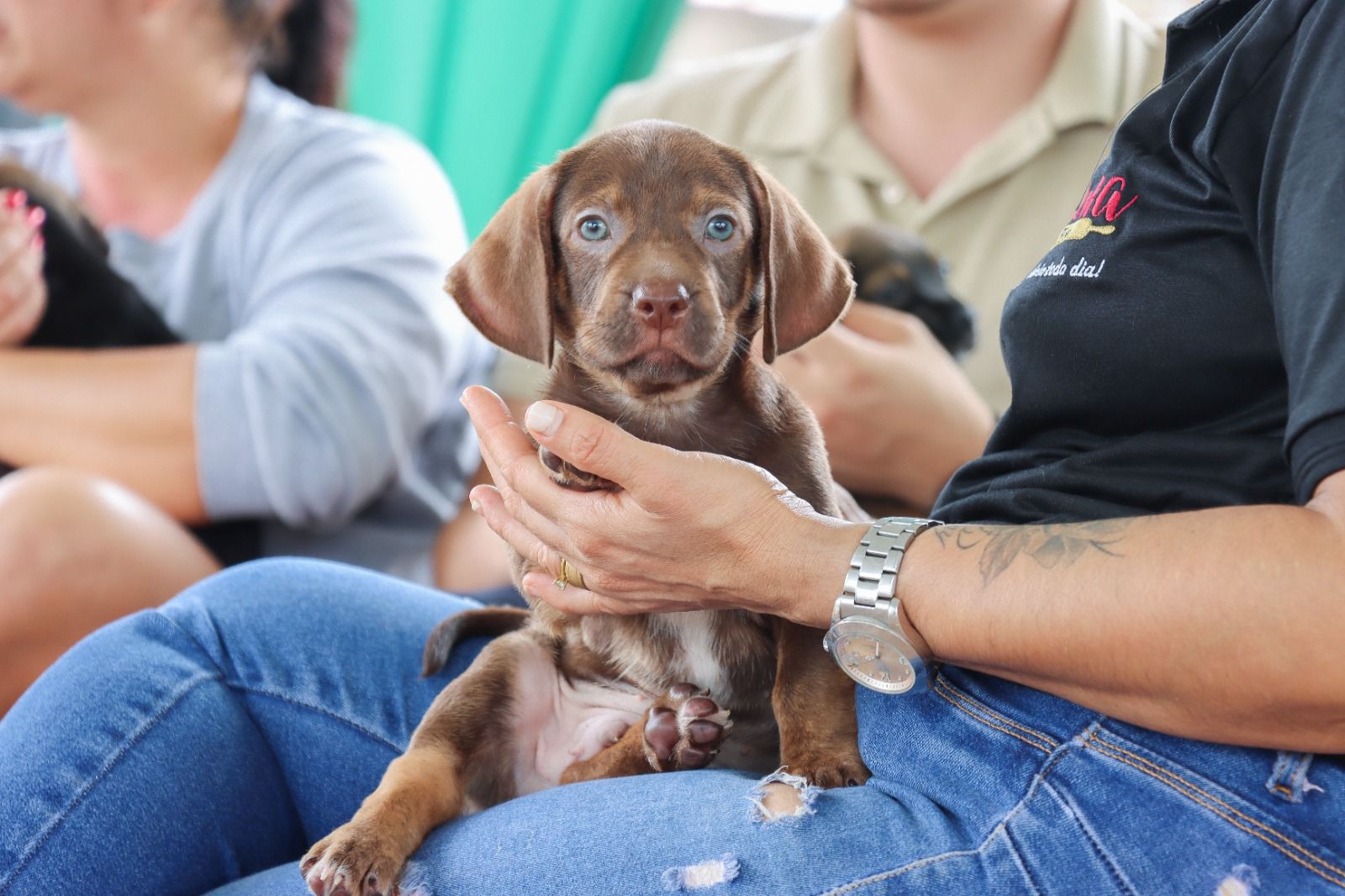Seminário discute cuidado animal nas escolas em Senador Canedo
