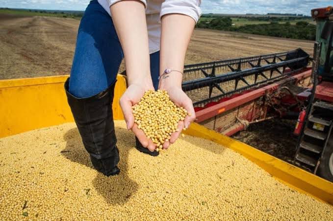 Agropecuária cresce mais de 20% e impulsiona economia de Goiás acima da média nacional