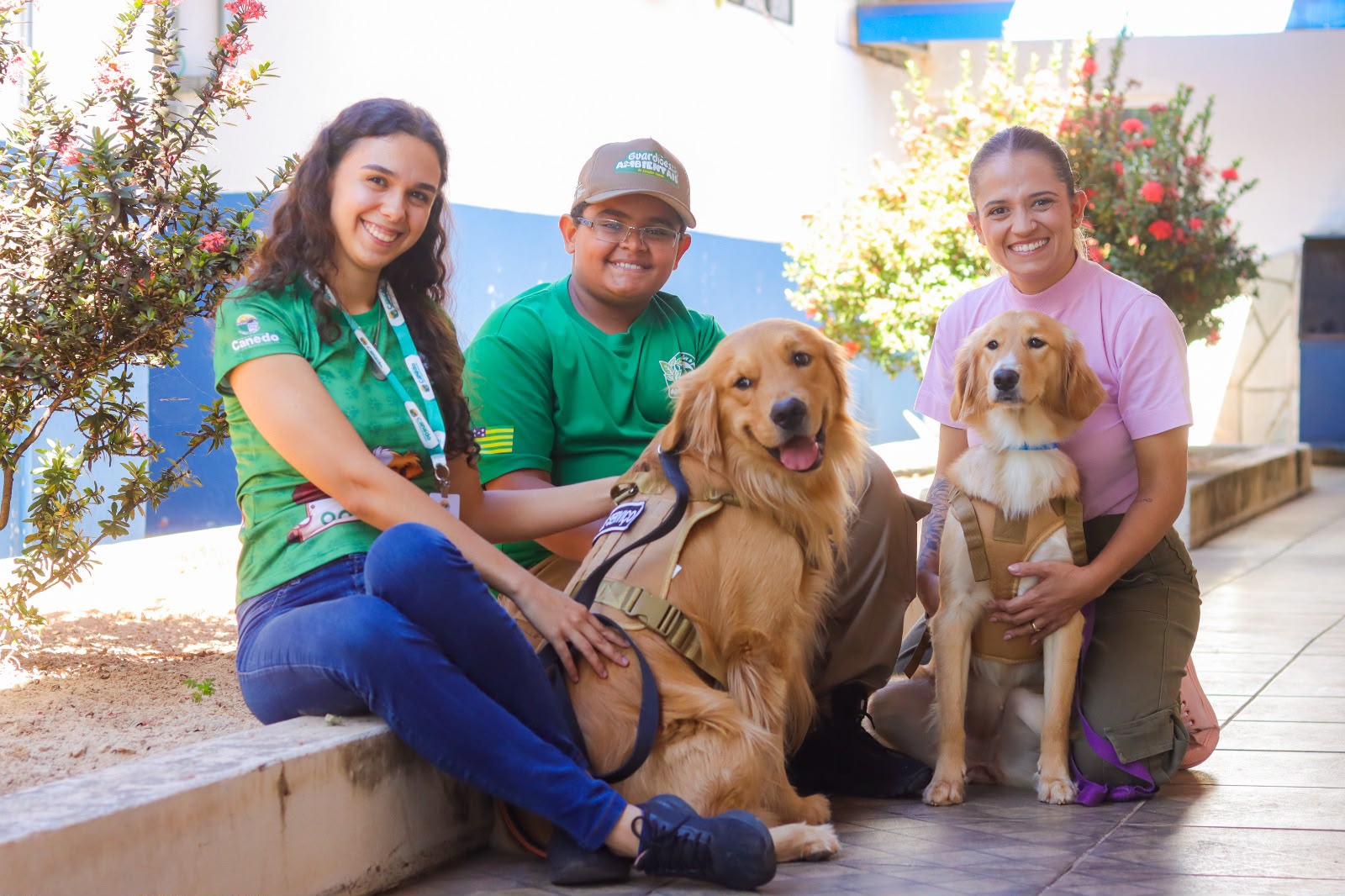 Cães terapeutas ensinam empatia e responsabilidade a alunos do projeto Guardiões Ambientais