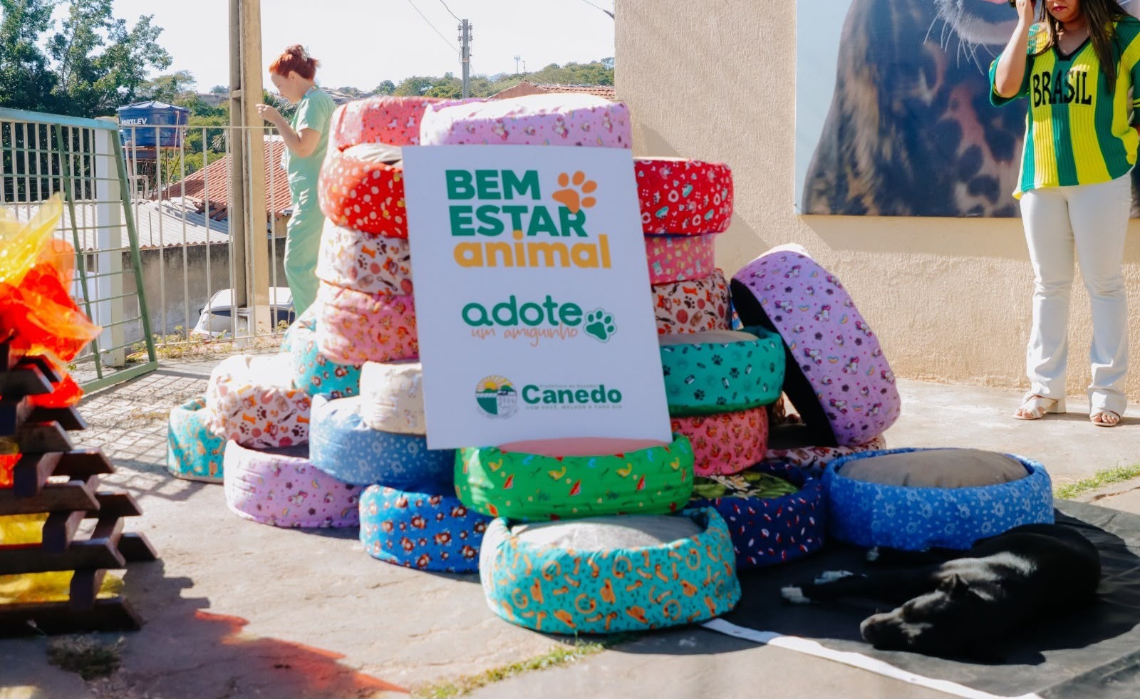 Bem-Estar Animal entrega caminhas feitas com pneus reaproveitados a animais adotados em Senador Canedo
