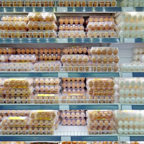 Preço do ovo sobe mais de 40% em fevereiro e preocupa consumidores