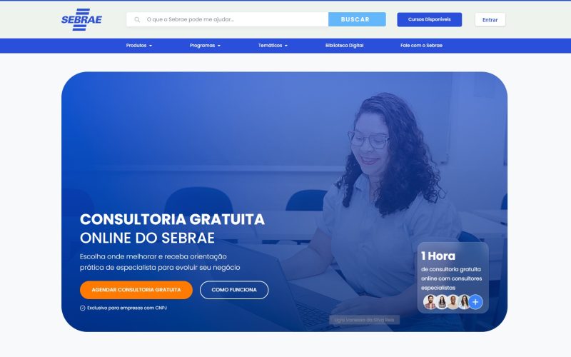 Sebrae cria página de Consultoria Online gratuita voltada a empreendedores goianos