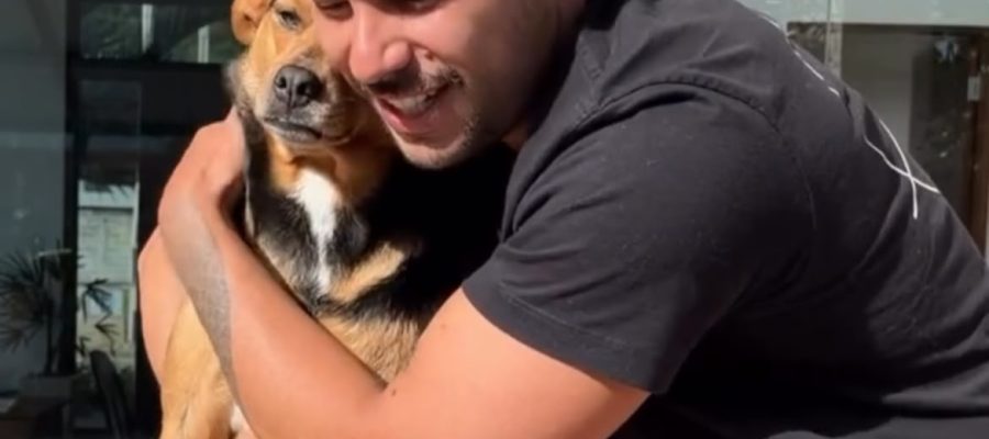 Veterinário emociona a web ao contar como resgatou a cadela Vitória