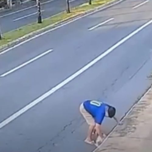 Cachorra é resgatada de bueiro e homem de 65 anos é detido por suspeita de maus-tratos em Goiânia