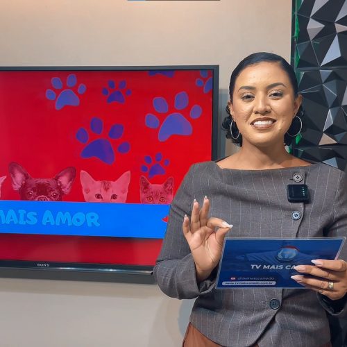 Confira no Jornal Mais Canedo como encontrar o seu próximo amiguinho de quatro patas.