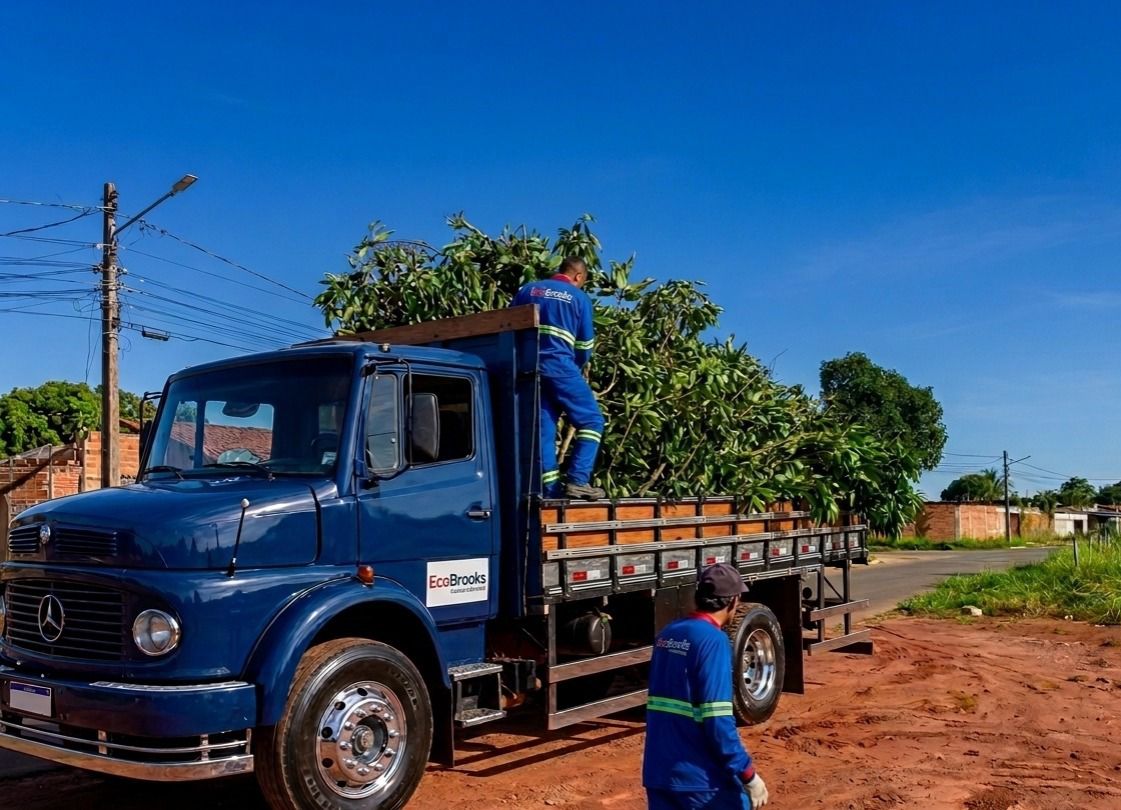 Ações de remoção de materiais intensificam limpeza urbana em Senador Canedo