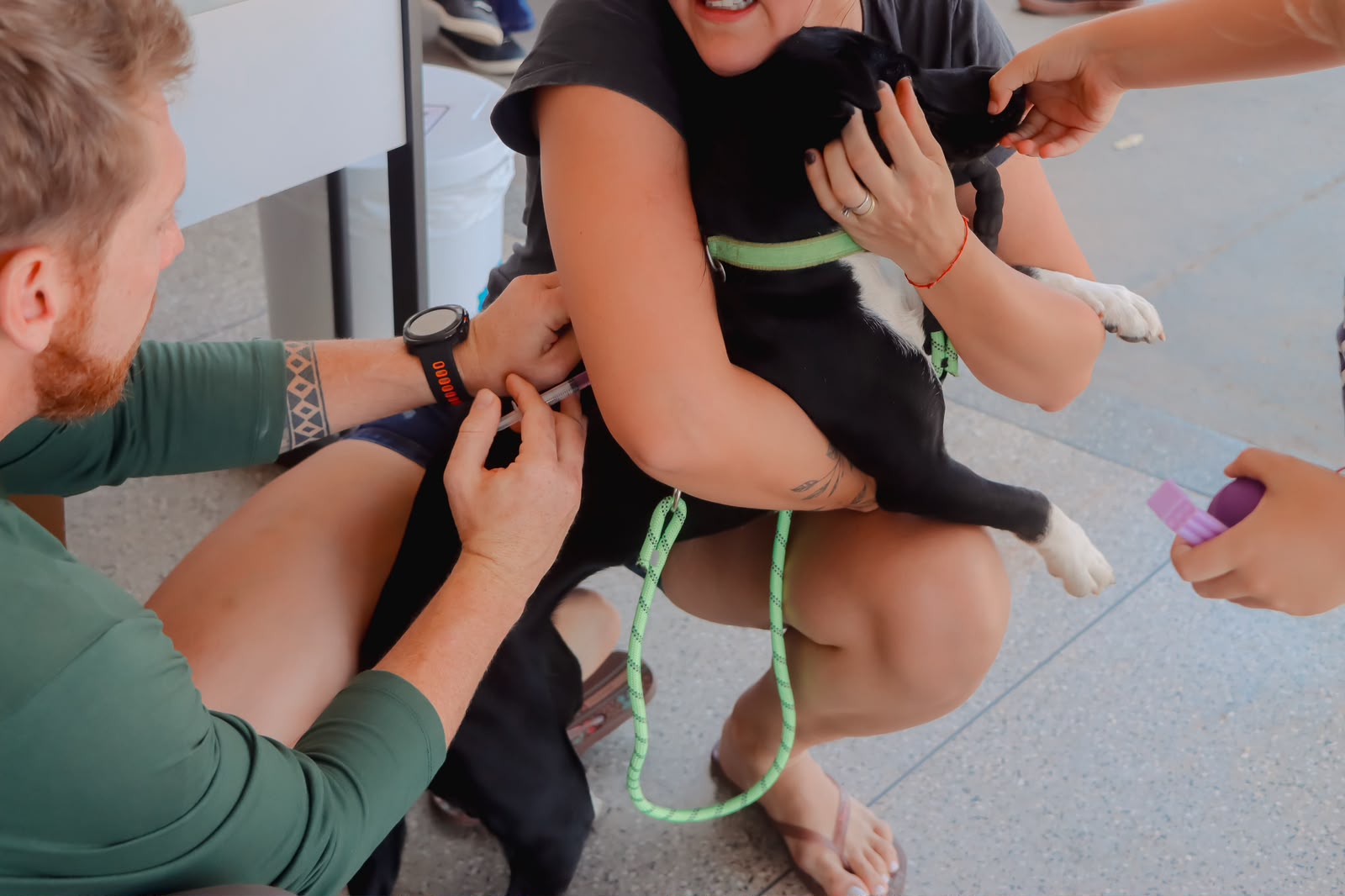 Vacinação antirrábica reforça proteção de cães, gatos e da população em Senador Canedo