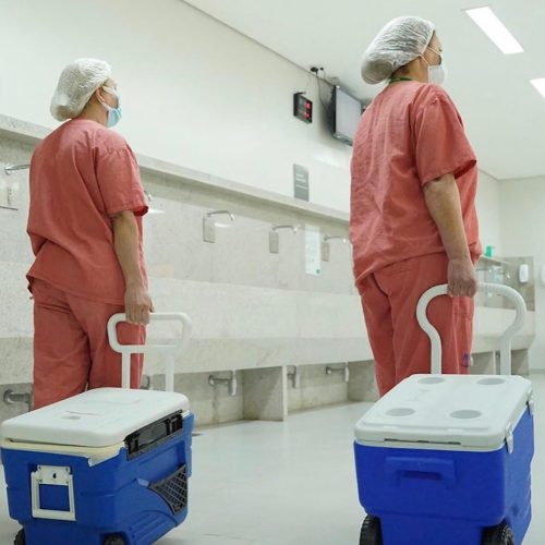 Setembro Verde mobiliza Goiás para ampliar doações e reduzir fila de transplantes